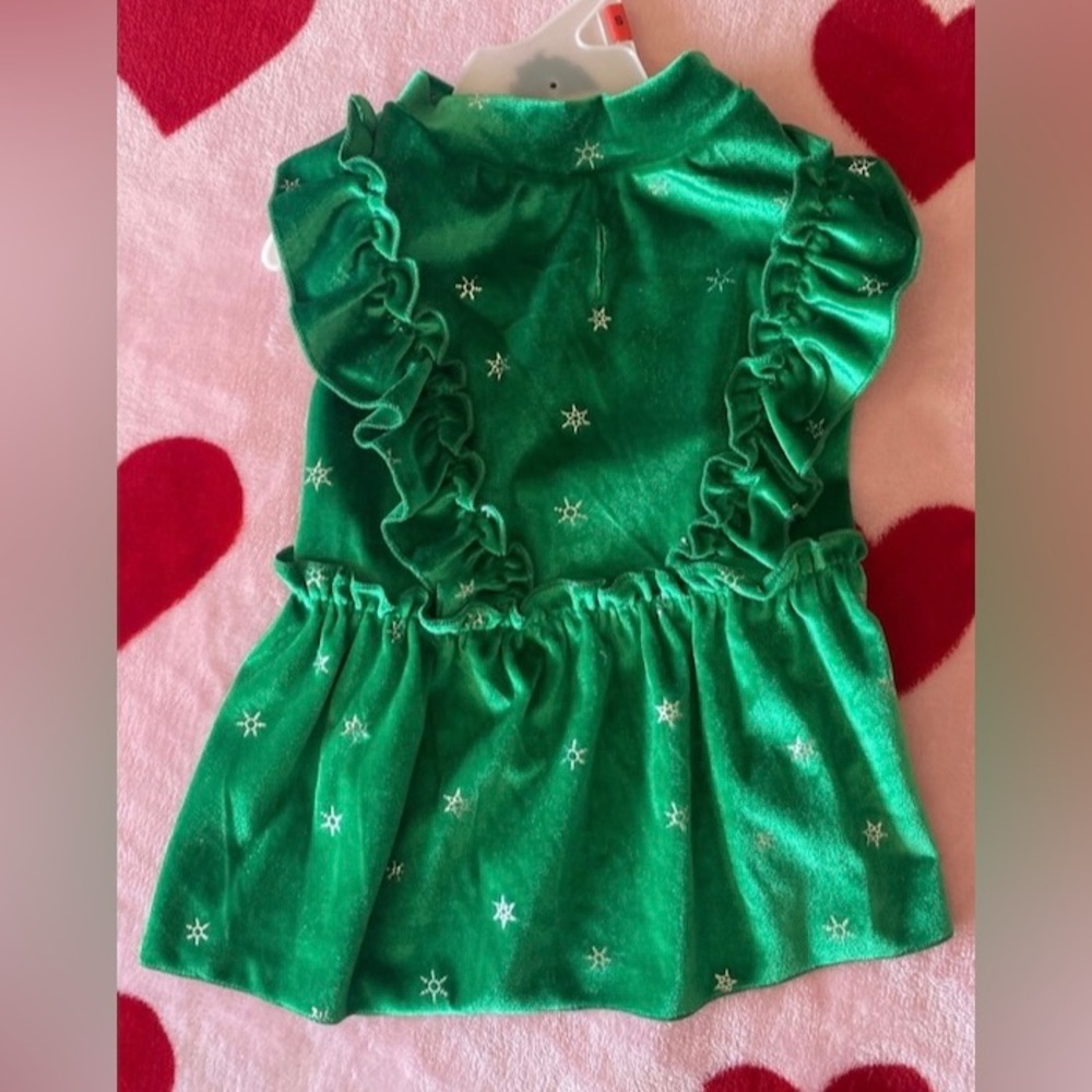 Green Velvet Dog Dress